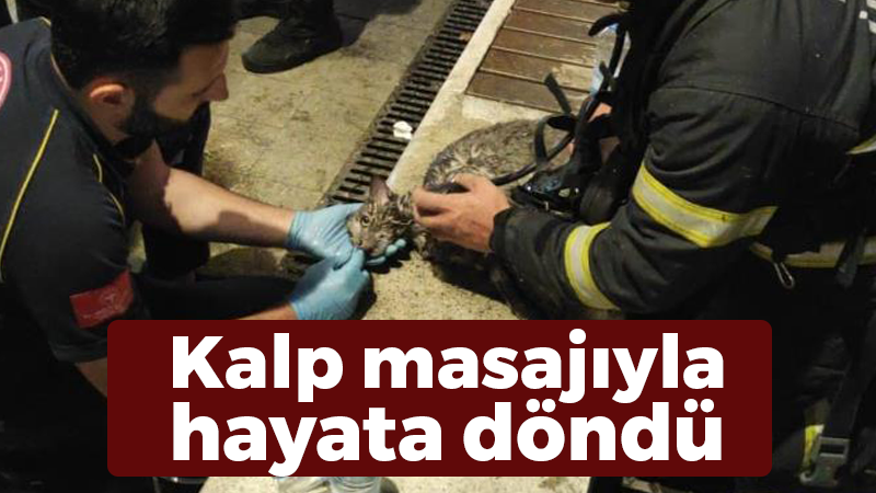 Mucize gerçekleşti: Kalp masajıyla hayata döndü