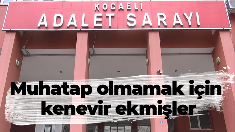 Kocaeli'nin İzmit ilçesinde bağ