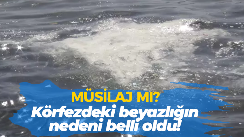 Müsilaj mı? Körfezdeki beyazlığın nedeni belli oldu!