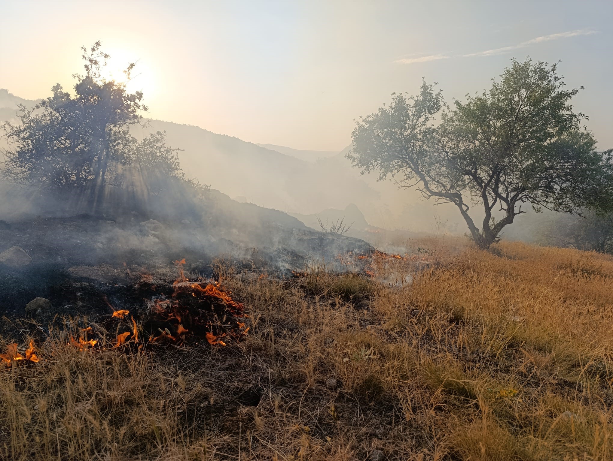 Ormanlık alanda çıkan yangın 1 saatte söndürüldü - Resim : 2