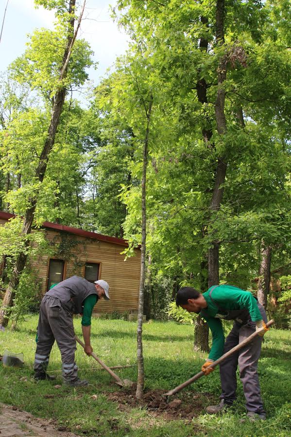 Ormanya bayramda başka güzel - Resim : 1