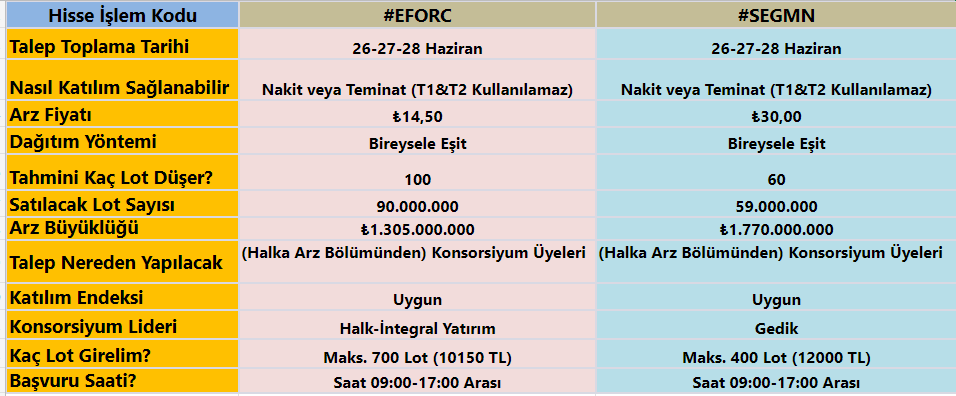 SEĞMEN KARDEŞLER (SEGMN) HALKA ARZ KAÇ LOT VERİR? Seğmen Kardeşler Katılım Endeksine Uygun Mu? Seğmen Kardeşler Tahmini Lot Sayısı - Resim : 1