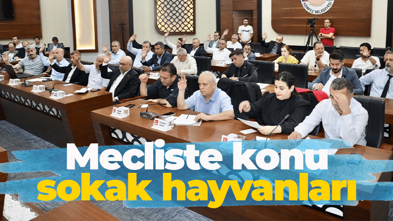 CHP Körfez Belediye Meclis