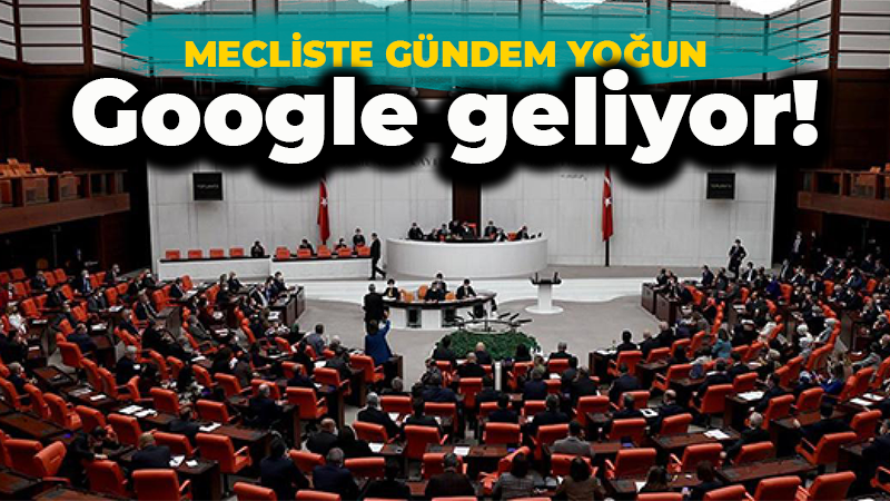 Türkiye Büyük Millet Meclisi'ni