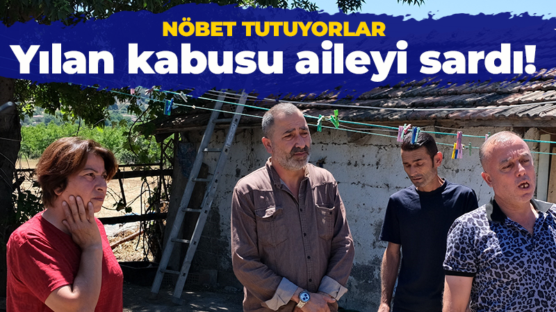 Yılan kabusu aileyi sardı