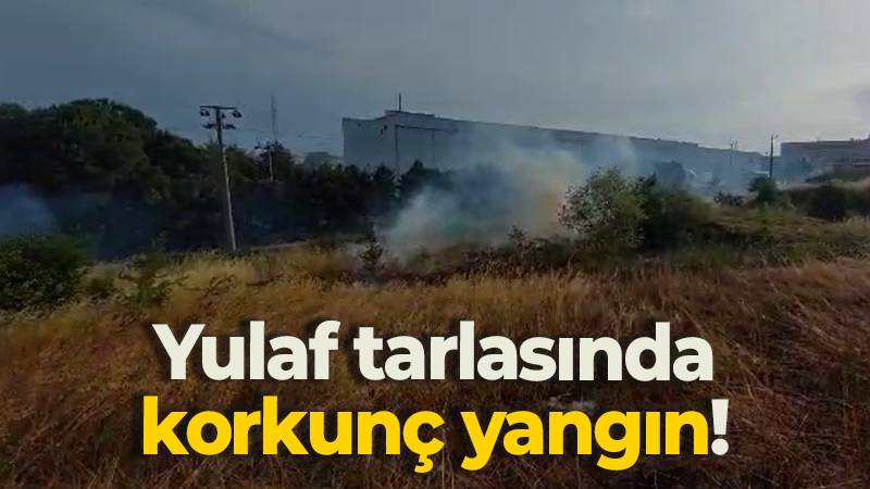 Yulaf tarlasında korkunç yangın!