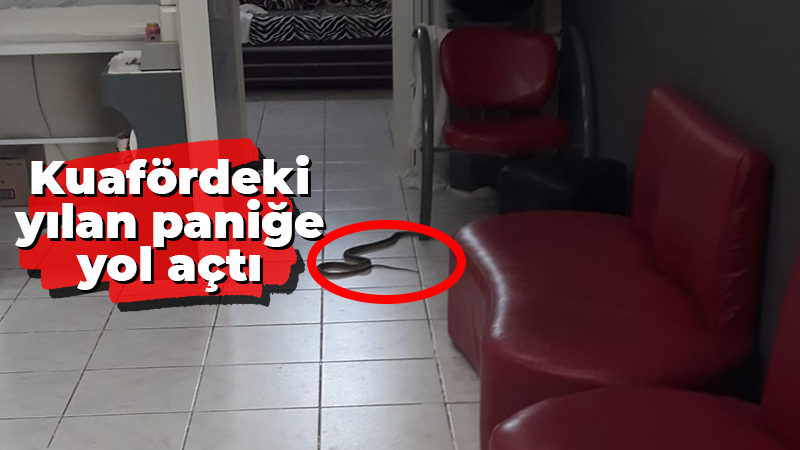 Kocaeli'nin Kartepe ilçesinde kadın