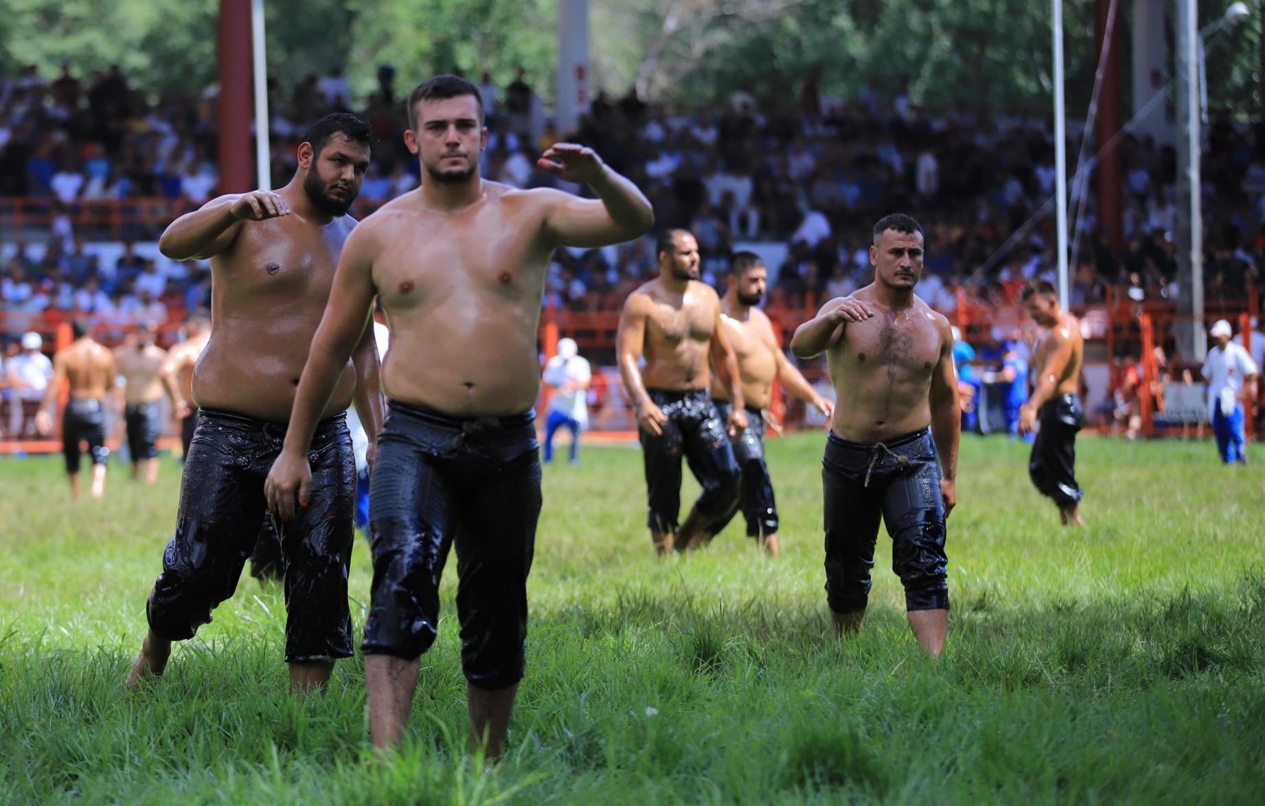 663. Tarihi Kırkpınar Yağlı Güreşleri dev foto galeri "Ali Köksal - Özel" - Resim : 28