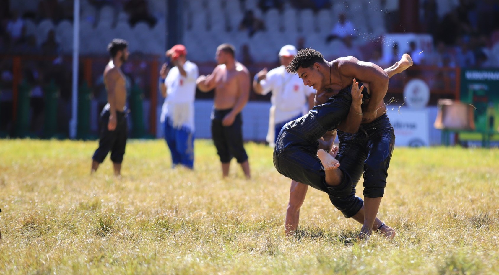 663. Tarihi Kırkpınar Yağlı Güreşleri dev foto galeri "Ali Köksal - Özel" - Resim : 478