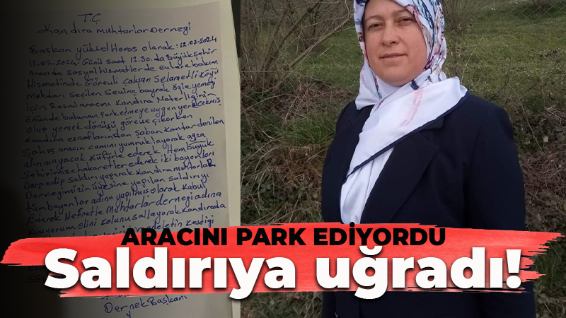 Aracını park ederken saldırıya uğradı… Camları yumruklandı!