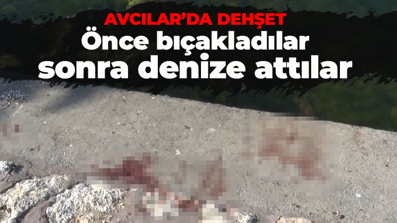 Avcılar’da dehşet: Önce bıçakladılar, sonra denize attılar