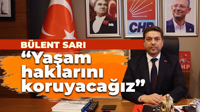 Bülent Sarı’dan hayvan hakları açıklaması: Yaşam haklarını koruyacağız