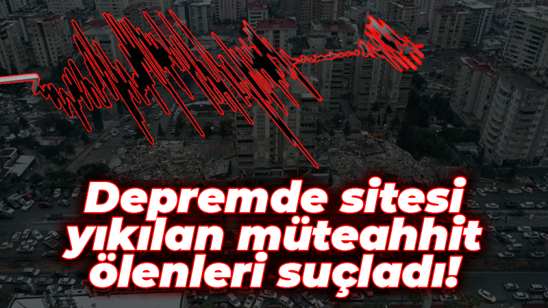 Depremde sitesi yıkılan müteahhit ölenleri suçladı!