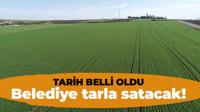 Derince Belediyesi tarla satacak! Satış tarihi ve fiyatı belli oldu