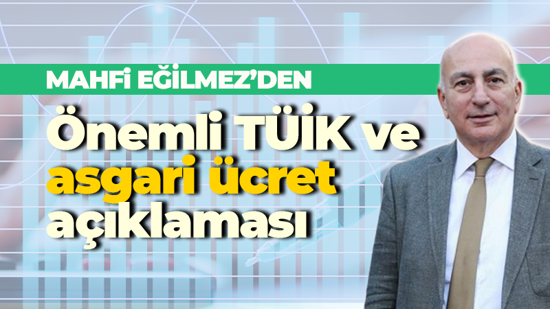 İktisatçı Mahfi Eğilmez, Türkiye