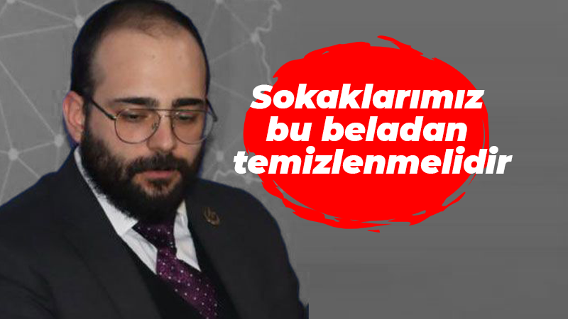 Kaan Şengil: Sokaklarımız bu beladan temizlenmelidir