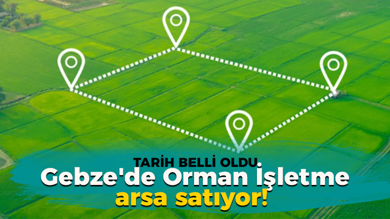 Kocaeli’de Gebze Orman İşletme