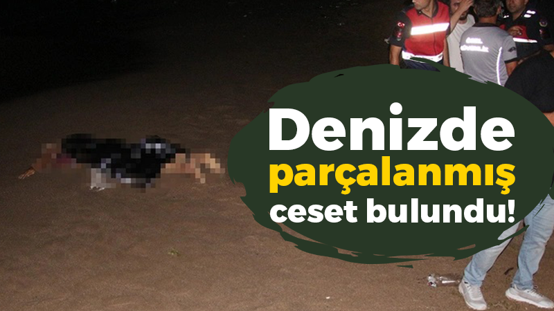 Kocaeli’de korkunç olay: Denizde parçalanmış ceset bulundu