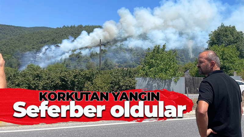 Korkutan yangın! Seferber oldular