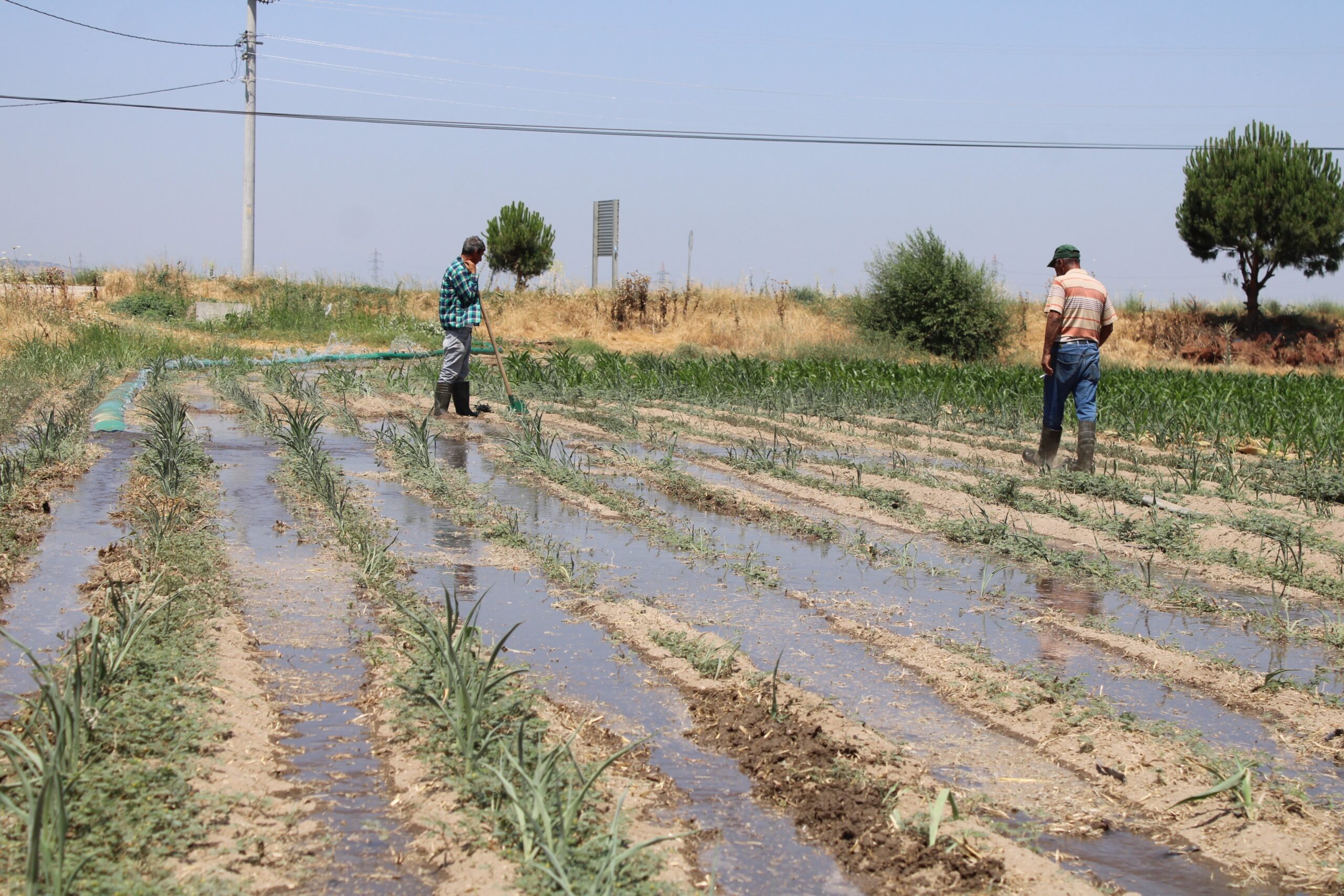 Masa başı iş sevdası alarm verdiriyor! - Resim : 4