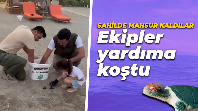 Sahilde mahsur kaldılar! Ekipler yardıma koştu