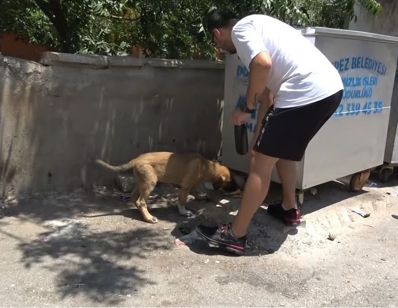 Şiddete şahit oldu ama şikayetçi olamadı! - Resim : 1