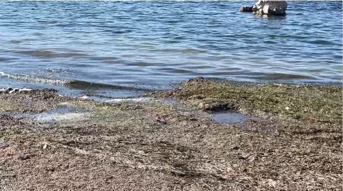 Suyu çekilen gölden kötü kokular gelmeye başladı - Resim : 3