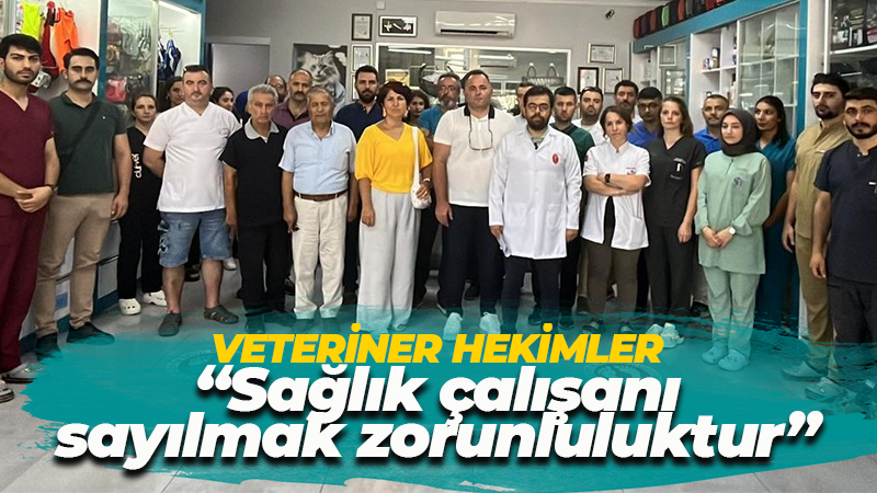 Veteriner hekimler sağlık çalışanı sayılmak istiyor