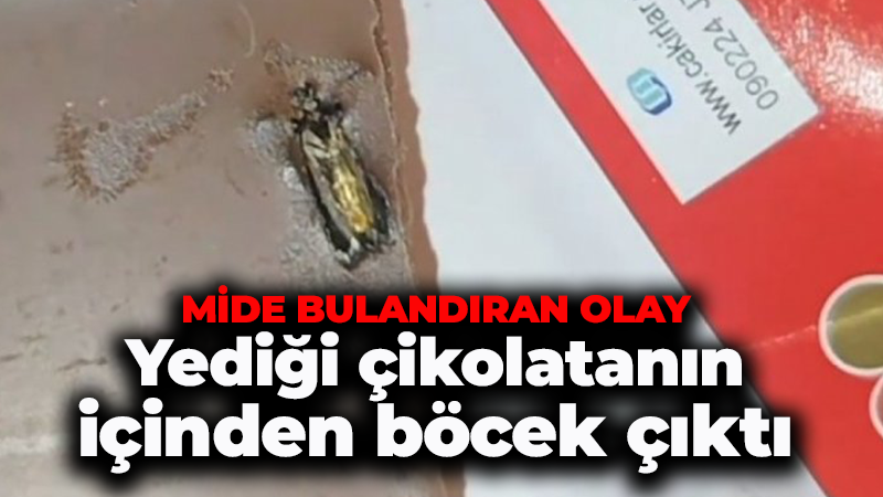 Yediği çikolatanın içinden böcek çıktı