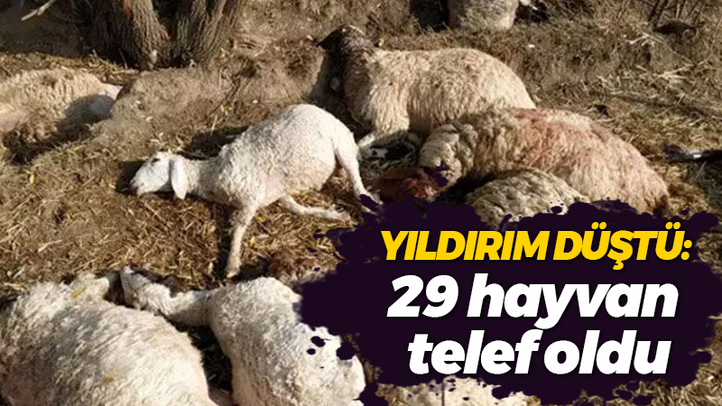 Yıldırım düştü: 29 Hayvan telef oldu