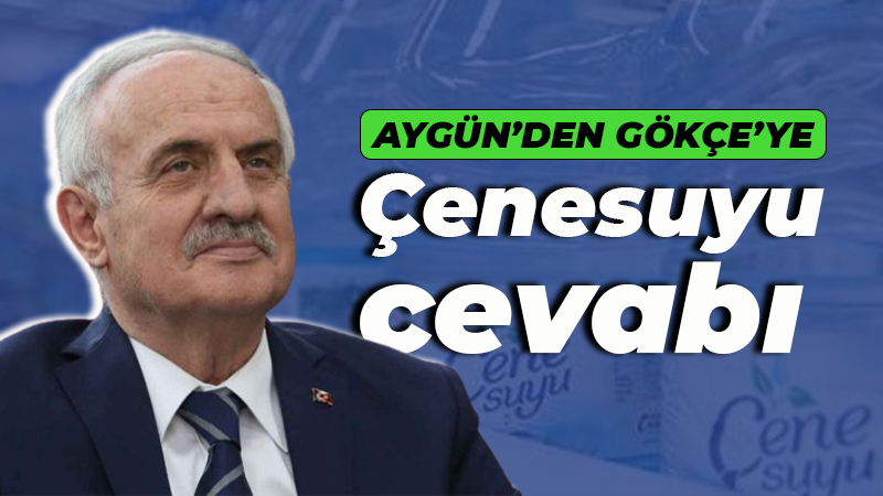 Zeki Aygün’den “Çenesuyu kara geçmemiş” diyen Sertif Gökçe’ye yanıt geldi