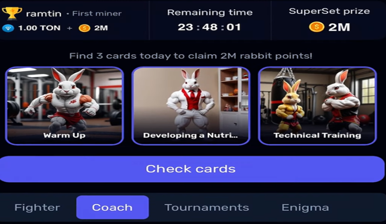 Rocky Rabbit oyuncularının merakla