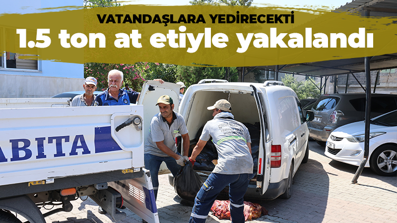 1.5 ton at etiyle yakalandı