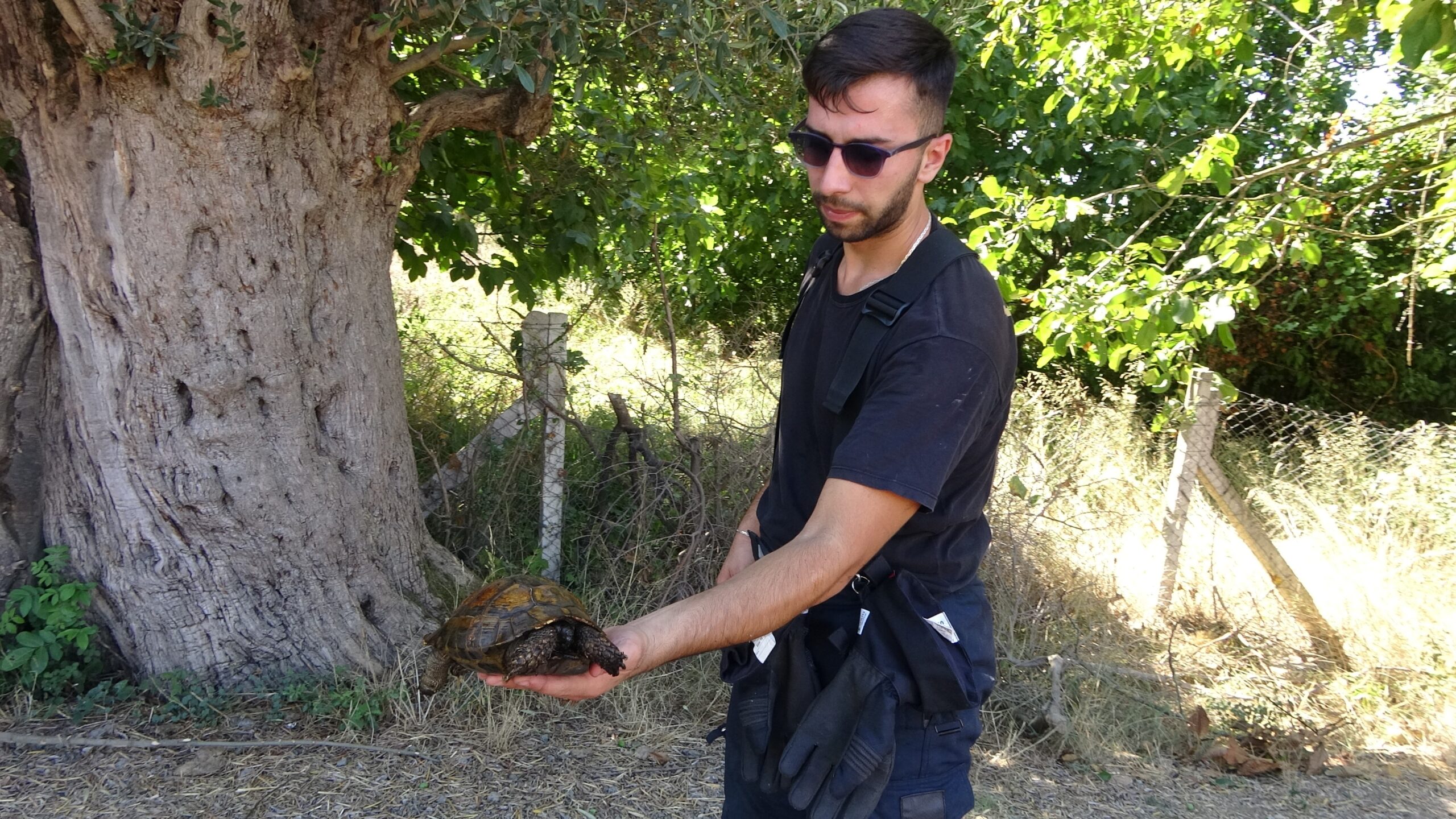 Ağaçlık alanda yangın çıktı! İtfaiye erleri kurtardı - Resim : 9