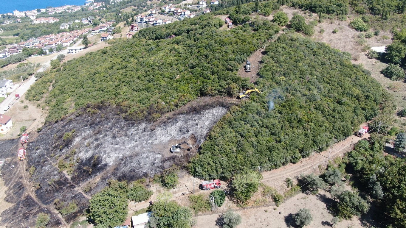 Ağaçlık alanda yangın çıktı! İtfaiye erleri kurtardı - Resim : 7