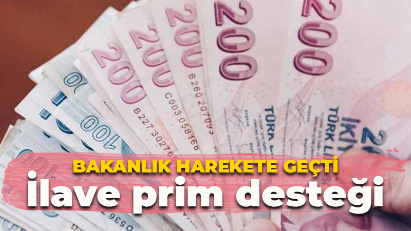 Bakanlık harekete geçti! Kadın ve gençlere prim desteği