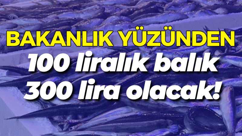 Bakanlık yüzünden 100 liralık balık 300 lira olacak!