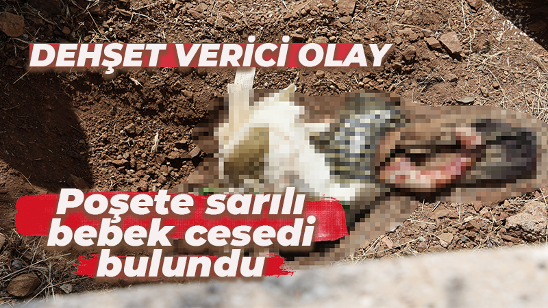 Dehşet verici olay! Poşete sarılı bebek cesedi