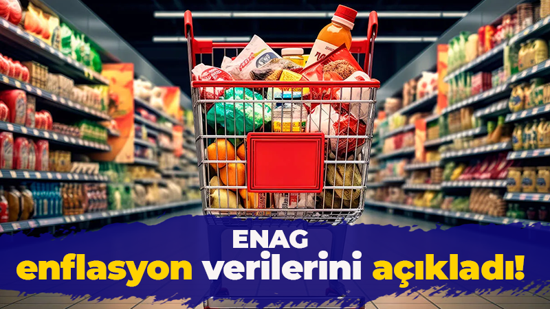 Enflasyon Araştırma Grubu (ENAG),