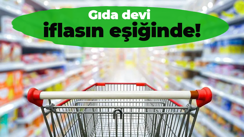 Türkiye'nin gıda devi firmalarından