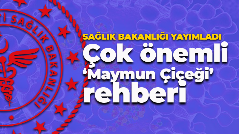 Hızla yayılıyor! Sağlık Bakanlığı ‘Maymun Çiçeği’ rehberi yayımladı