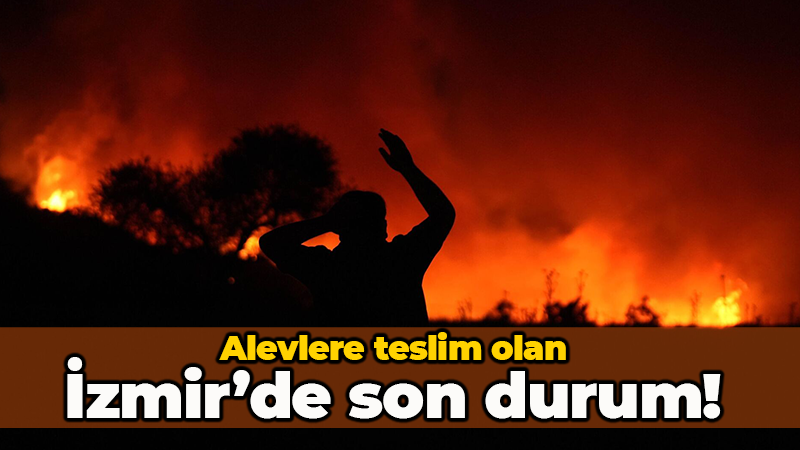 İzmir yangınlarında son durum! Vali Elban duyurdu: “440 konut tahliye edildi”