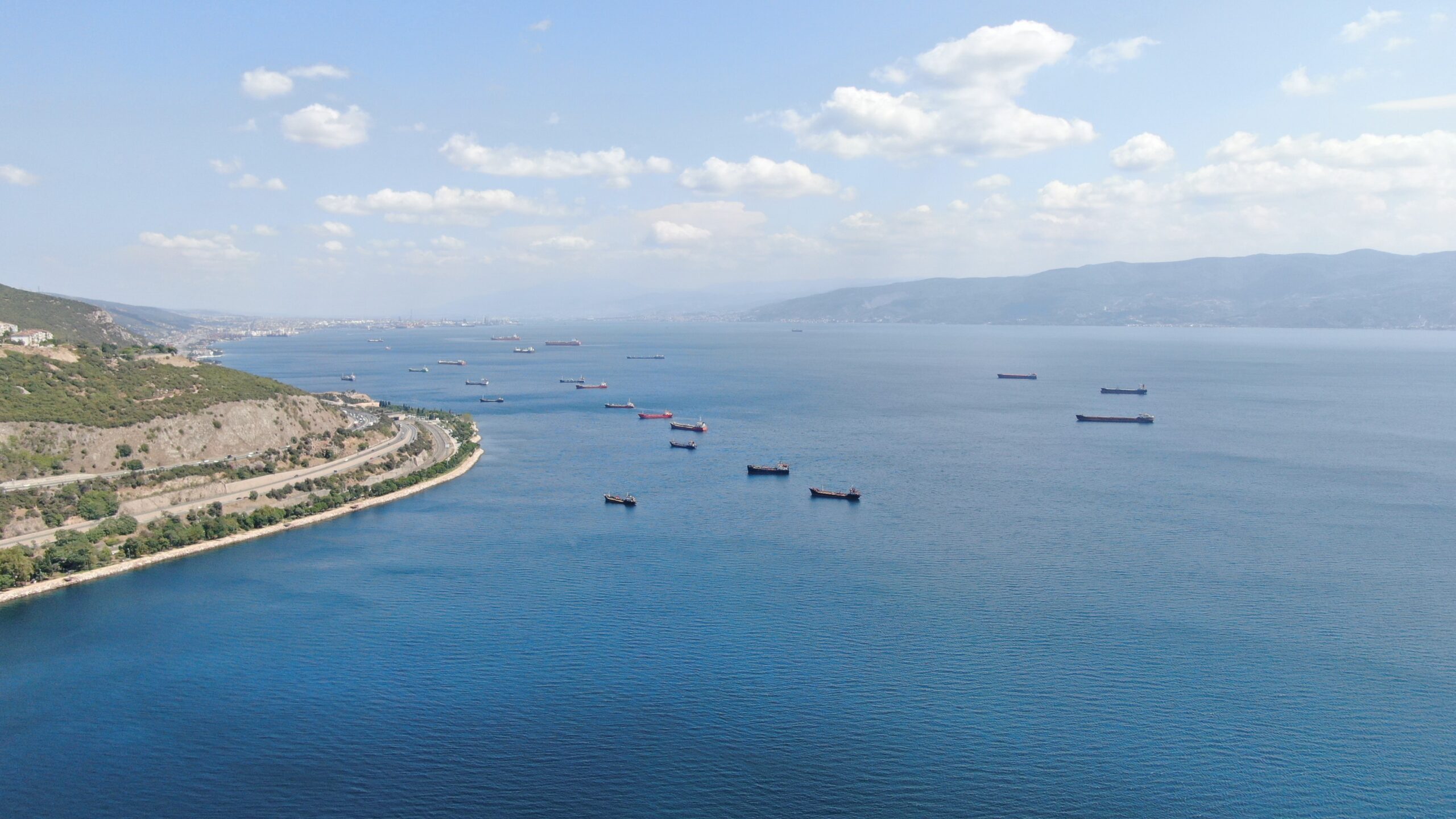 İzmit Körfezi'ndeki gemi sırasından balıkçılar şikayetçi - Resim : 4