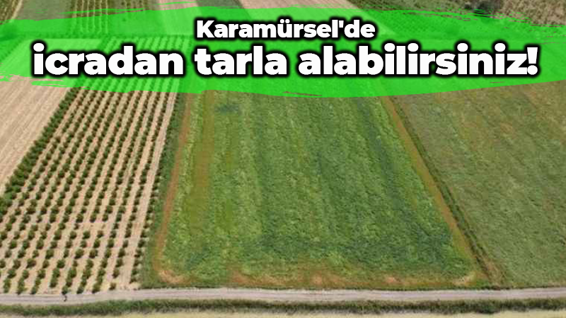 Karamürsel’de icradan tarla satın almak mümkün! Bedeli açıklandı