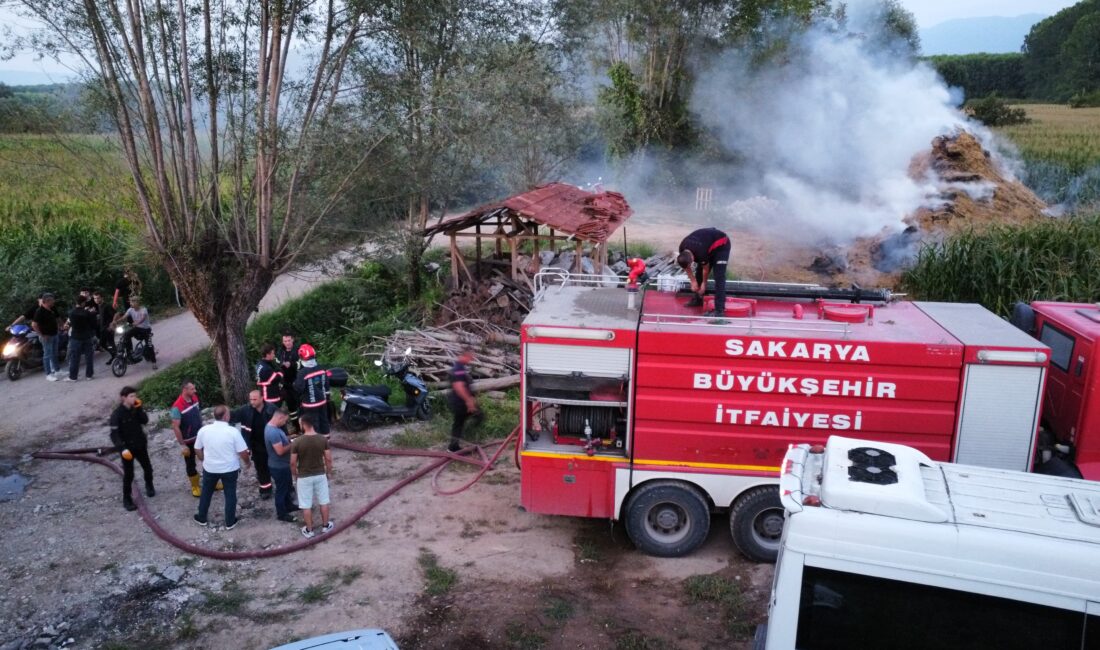 Sakarya'nın Akyazı ilçesinde gerçekleşen