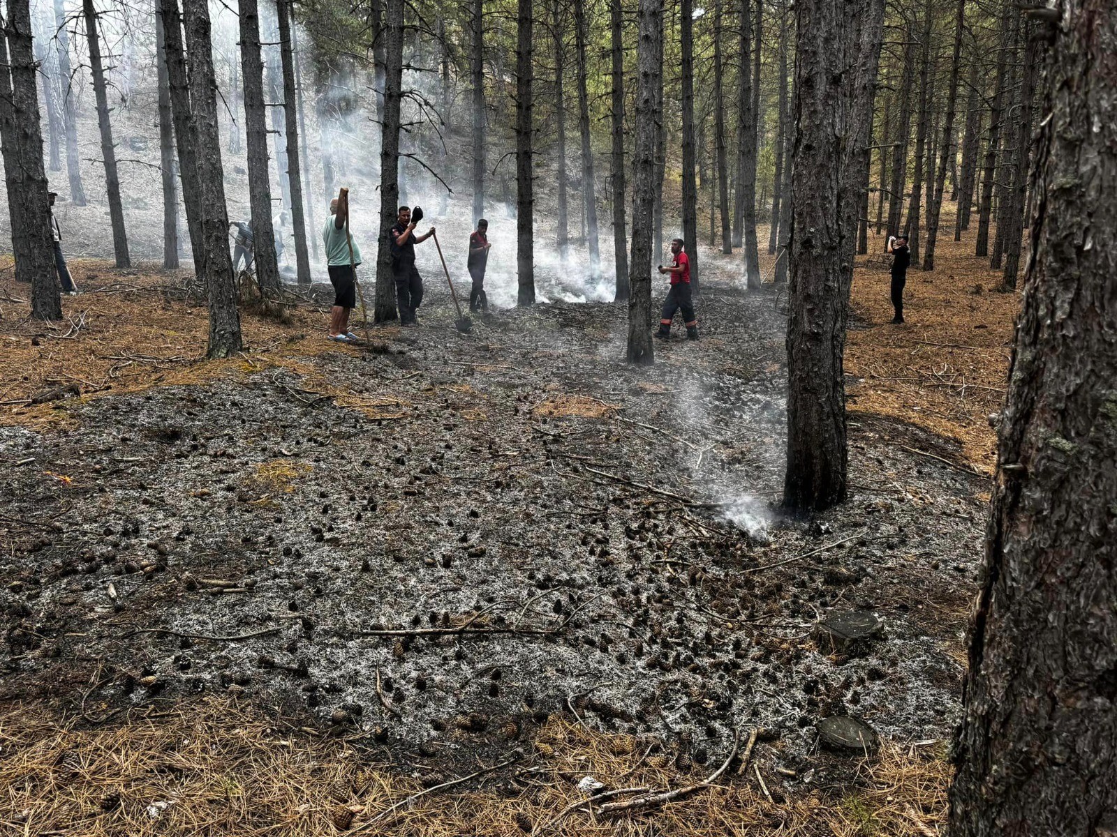 Korkutan doğa olayı! Yangına sebep oldu - Resim : 3