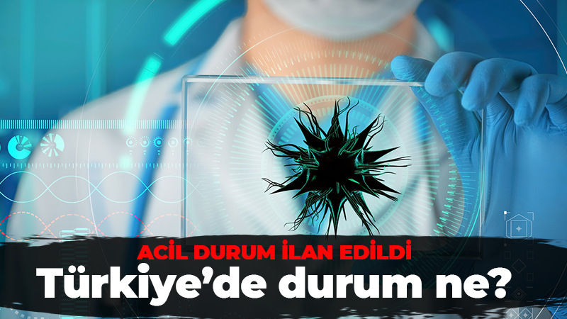 Maymun çiçeği alarmı!