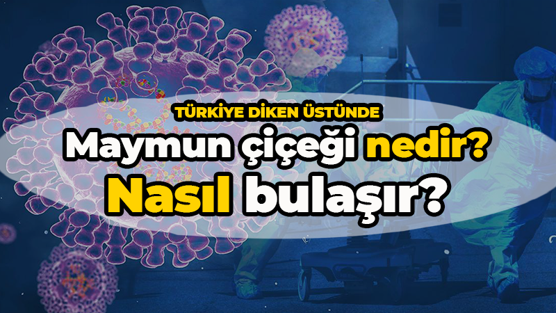 Maymun çiçeği nedir? Nasıl bulaşır?