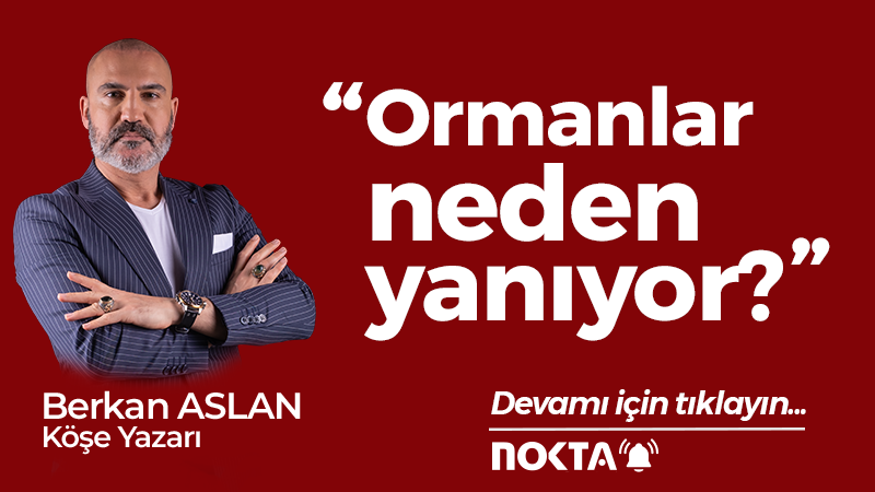 Ormanlar neden yanıyor?