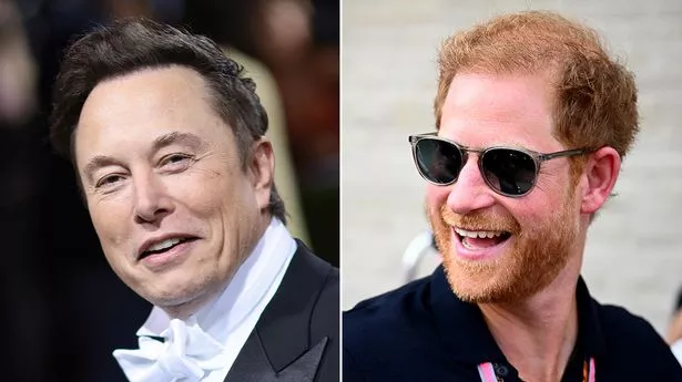 Prens Harry’den Musk’a sert tepki